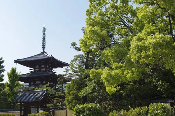 Güzel, eski bir Japon tapınağının büyüleyici fotoğrafı.