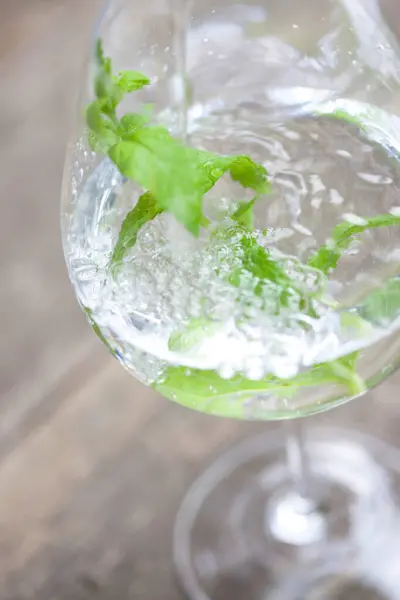 close up shot of a glass with fresh mint and ice