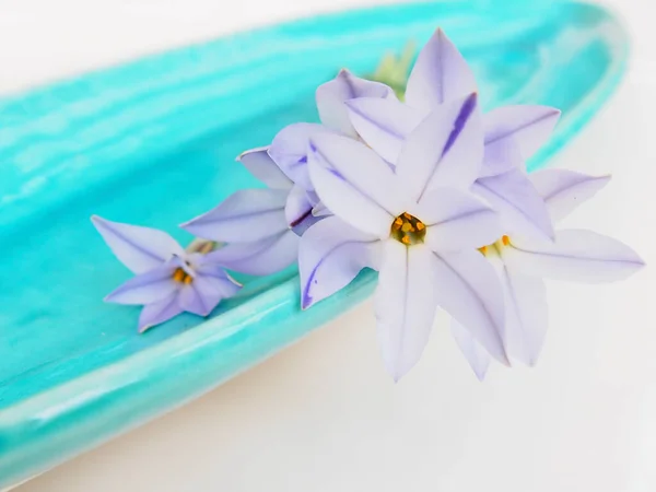 blue lily flowers and white towel on a white wooden background.
