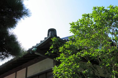 Japon evi ve güzel bahçede yeşil ağaçlar.