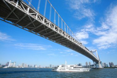 Düşük açılı Tokyo gökkuşağı köprüsü ve şehrin ufuk çizgisi                   