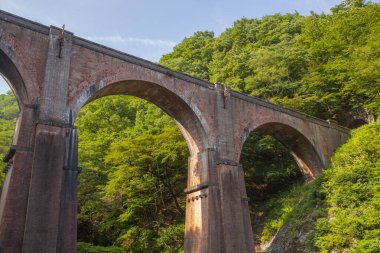 Tarihsel tuğla tren yolu köprüsü yemyeşil orman manzarasına yayılıyor