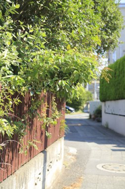 Güneşli bir günde eski şehir manzarası