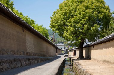 Büyük yeşil ağacın arkasında geleneksel duvarlar arasında dolanan dar taş patika.