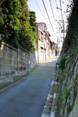 Japonya manzaralı cadde