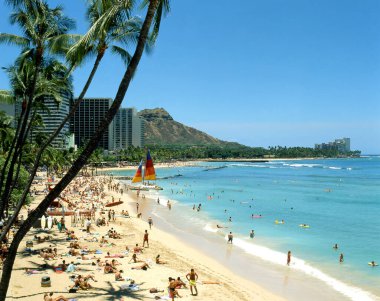 Yazın sahil ve Hawaii Denizi manzarası 