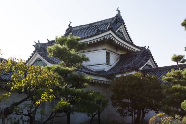 Japon tapınağının güzel manzaralı çatısı.