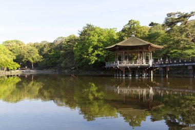 Yazın göl kenarında sakin bir Asya parkının hoş bir gündüz sahnesi..