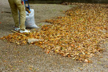 Yaprakları torbaya dolduran kişi