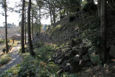 Ağaçları ve bitkileri olan Japon bahçesi.