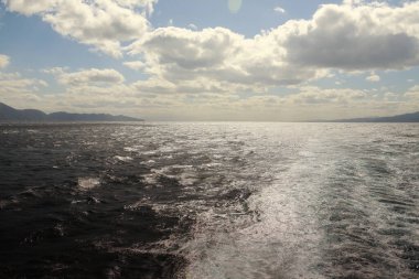 Deniz kıyısının güzel doğal manzarası     