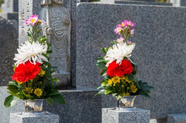 Mezarlıktaki çiçekler.