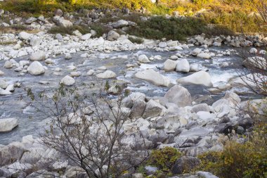 Taşlarla kaplı dağ nehri manzarası 