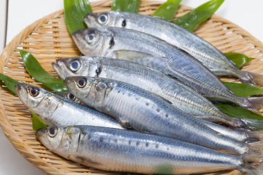 Tabakta uskumru balığı, yakın plan.