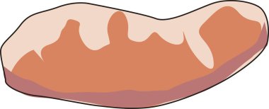 Batatın beyaz arkaplandaki basit illüstrasyonu