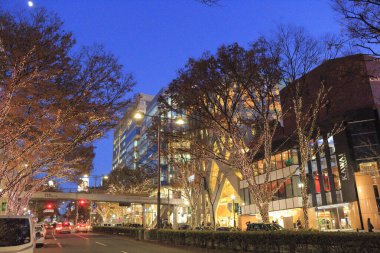 Gece şehir ışıkları, şehir arkaplanı 