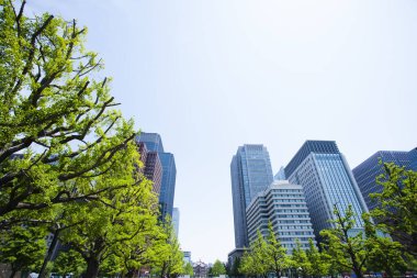 yeşil ağaçlar ve modern binalar 