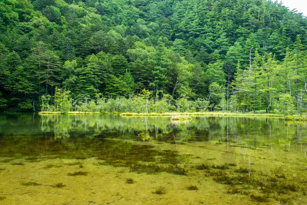 Bela Paisagem Vista Natureza Com Lagoa — Fotografia de Stock