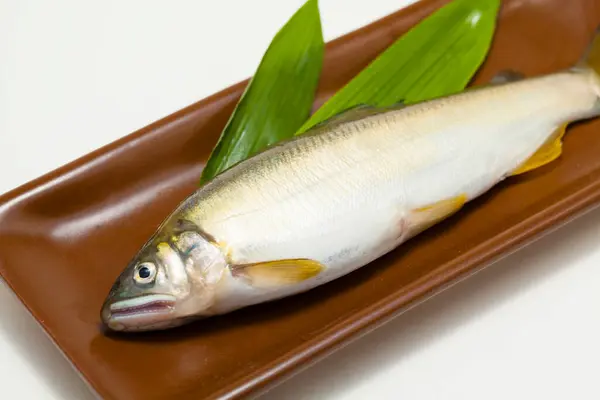 Japanese sweet fish on background, close up
