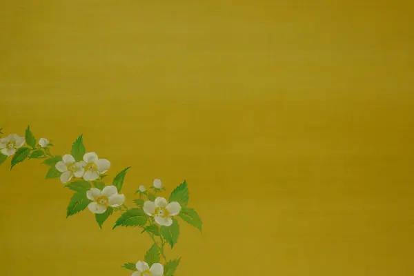 Schöne Blumen Nahsicht Florales Konzept — Stockfoto