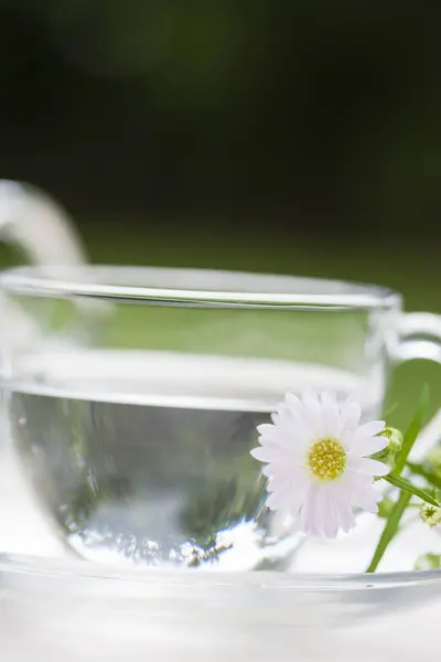 Weiße Kamillenblüte Neben Glasschale Auf Dem Tisch — Stockfoto