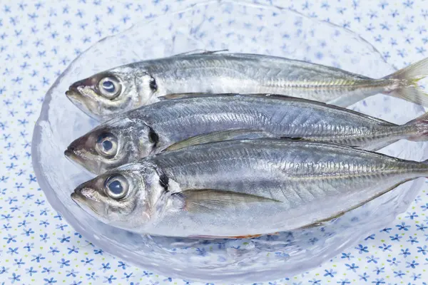 fresh mackerel fish in a bowl, closeup