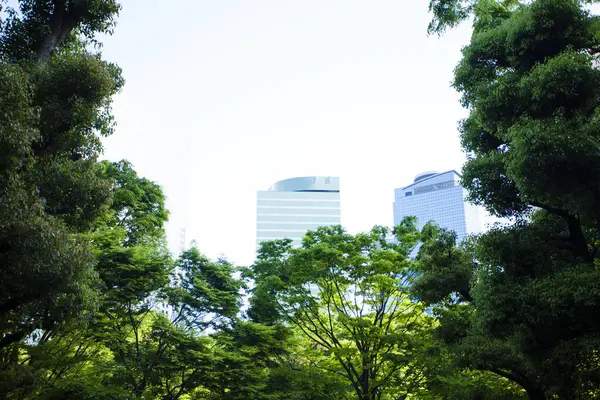 Modern Épületek Kék Tokióban Japánban — Stock Fotó
