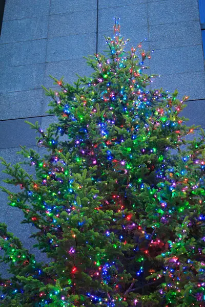 Árvore Natal Com Luzes Guirlandas — Fotografia de Stock