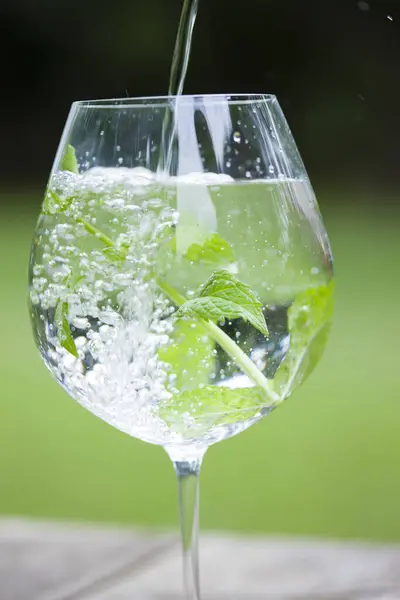 Water Groene Muntbladeren Glas — Stockfoto