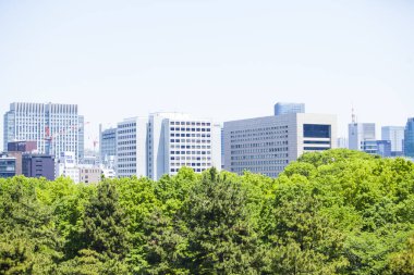 Şehirdeki modern bina ve yeşil ağaçlar 