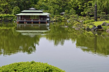 Tokyo 'daki güzel Japon bahçesi doğa manzarası 