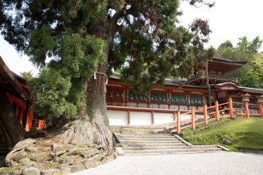 Tapınağın manzarası, Japonya 'nın güzel mimarisi.