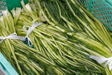 Taze yeşil yapraklı sebzeler sepette bir araya toplanmış.