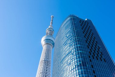 Tokyo Skytree ve Tokyo Skytree Doğu Kulesi Sumida Ward, Tokyo, Japonya 'da açık mavi gökyüzüne karşı 