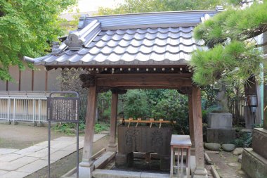 Asyalı mimarinin yer aldığı bir caddenin fotoğrafı..