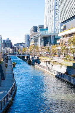 Gökdelenleri ve nehri olan şehir manzarası