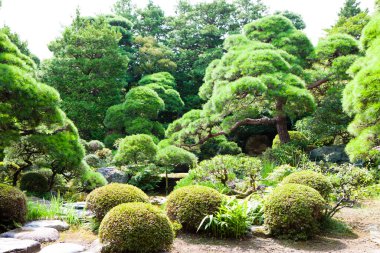 Kyoto 'daki Kinkine tapınağında güzel bir bahçe.