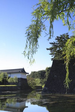 Japonya 'da gölü olan Japon bahçesi.