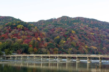 Japonya 'da nehir boyunca köprü. Sonbahar sezonu