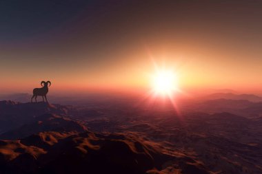 Dağların tepesinde dağ keçileriyle gün batımının güzel bir görüntüsü.