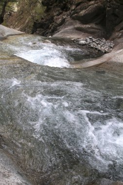 view of waterfall in the forest