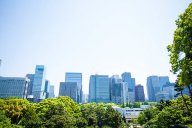 Şehirdeki modern bina ve yeşil ağaçlar 