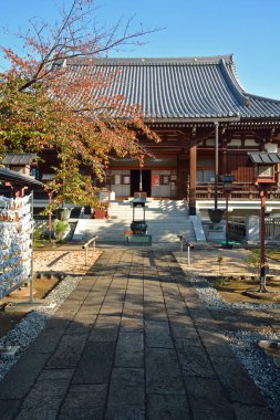 Geleneksel bir Japon tapınağının göz alıcı manzarası.