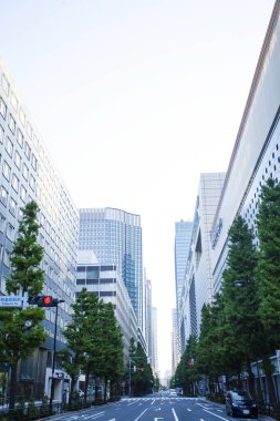 Şehir caddesinde ağaçları olan modern binalar. 