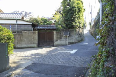 Japonya manzaralı cadde