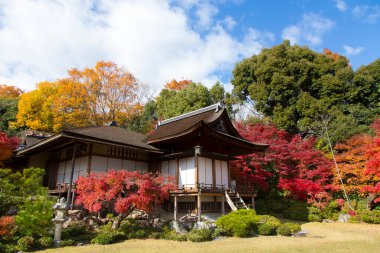 Japon evi sonbahar mevsiminde renkli ağaçlarla