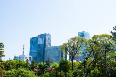 Şehirdeki gökdelenlerin önündeki yeşil ağaçlar