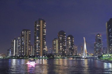 Tokyo şehrinin modern mimarisi, Japonya, akşam manzarası 
