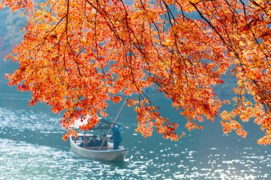 Sonbaharda nehirde yüzen turistlerle dolu bir tekne.