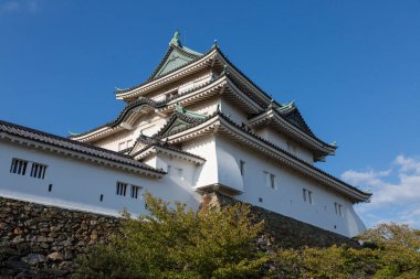 Wakayama Kalesi, Wakayama, Japonya